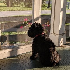 Meet your Posher, Jennifer